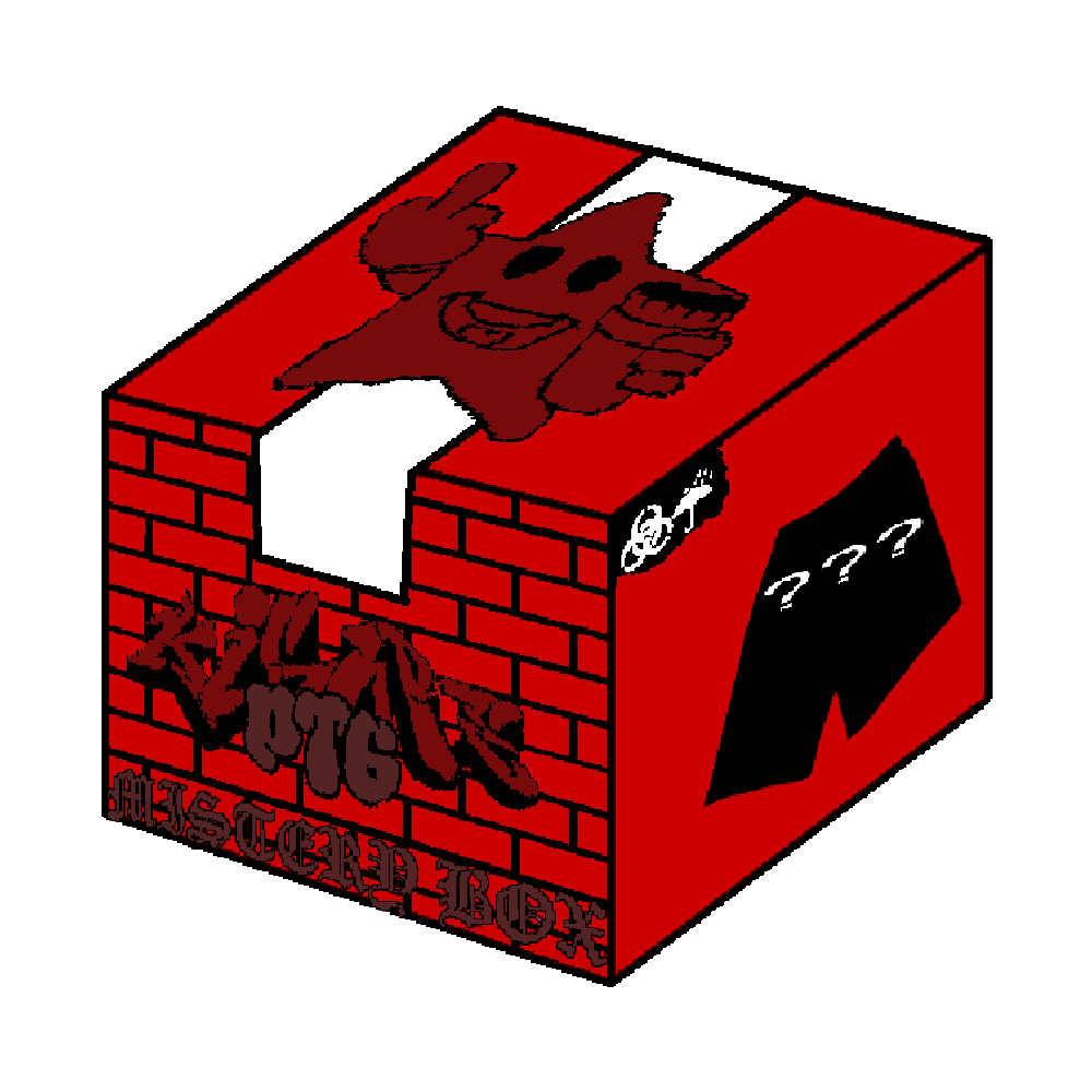 SHORTS MISTERY BOX